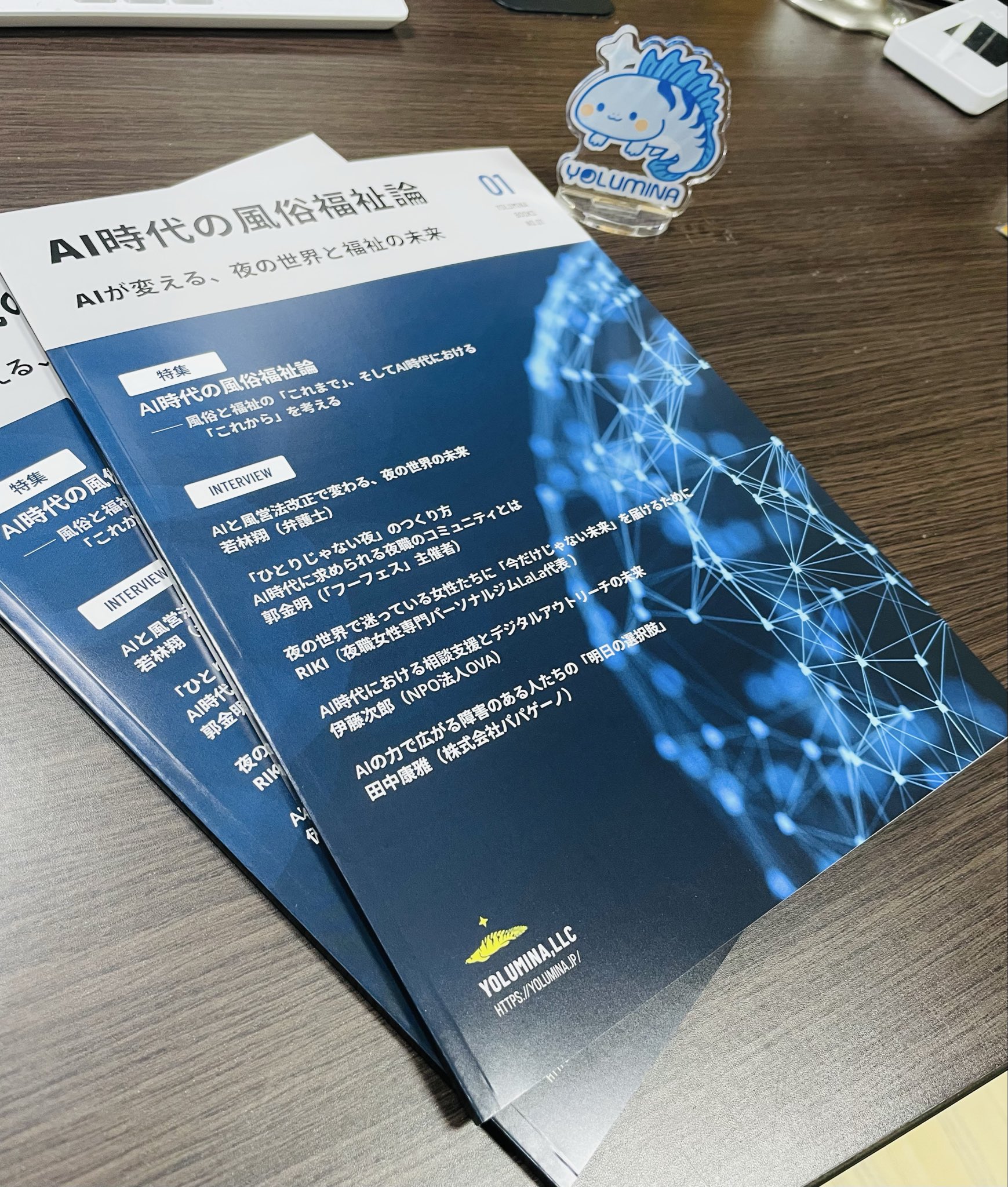 2026年2月のYOLUMINA開発レポート